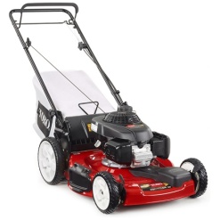 TORO Personal Pace 22" FWD Self-Propelled Mower #20379